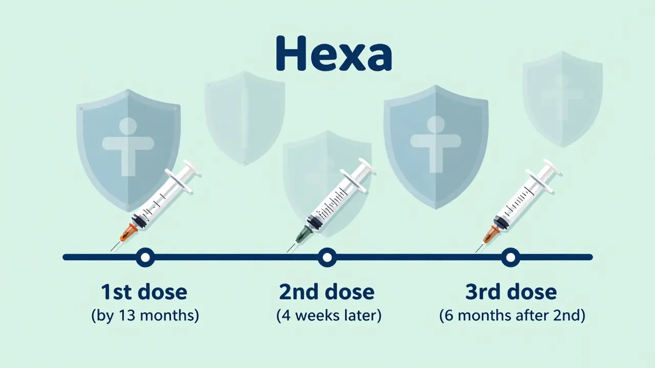 Časová osa očkování Hexa s třemi dávkami a ochrannými štíty proti šesti nemocem.